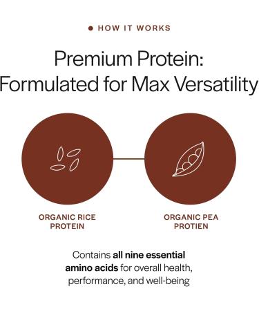 Gainful Everyday Plant Protein Powder 23g Plant Protein per Serving Unflavored Supports Strength Recovery and Balanced Nutrition Vegan Gut Friendly No Artificial Ingredients 14 Servings Plant - Everyday 14.5 Ounce  - Buy Online on GoSupps.com