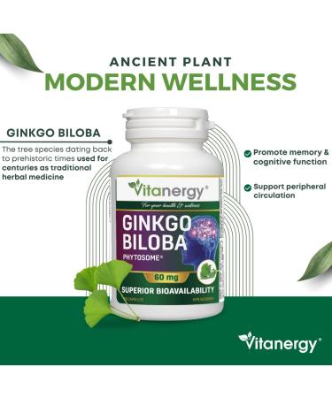 Vitanergy Ginkgo Biloba Enhanced Bioavailability for Cognitive Function & Peripheral Circulation Support 60mg 60 Capsules - Canadian Made - Buy Online on GoSupps.com