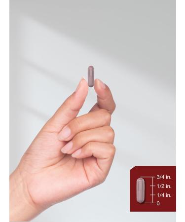 Horb ach Tart Cherry Extract 7000mg - 90 Capsules | Non-GMO Gluten Free Traditional Herb Supplement for Optimal Health - Buy Online on GoSupps.com