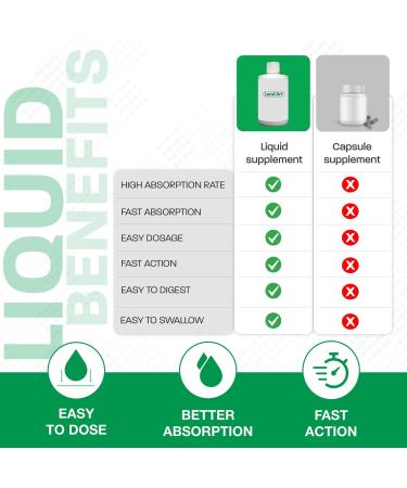 Liquid Chlorophyll Mint 5X Concentrated 500ml Cold Extracted from Non-GMO Alfalfa - Detox - Alkaline - Natural Body Deodorant Antioxidant - Made in Canada - Buy Online on GoSupps.com