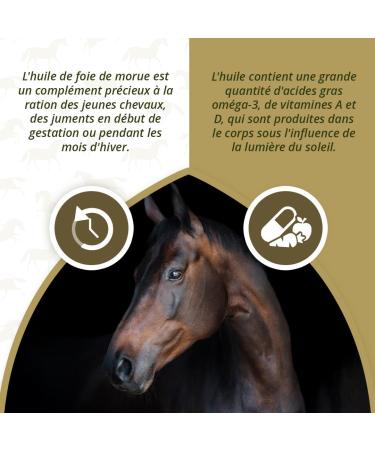 Excellent Liver Oil 5 Liter - To Support Strength Growth and Development as well as Coat Maintenance - Suitable for Horses - Buy Online on GoSupps.com