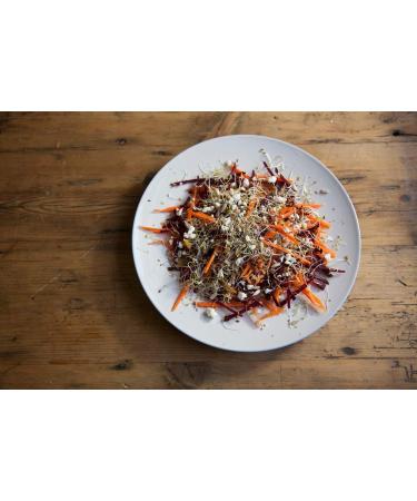 Country Creek Acres Beet Sprouting Seeds 6 oz - Non GMO Microgreens for High Germination in Juicing, Gardening, and Salad Sprouts - Buy Online on GoSupps.com