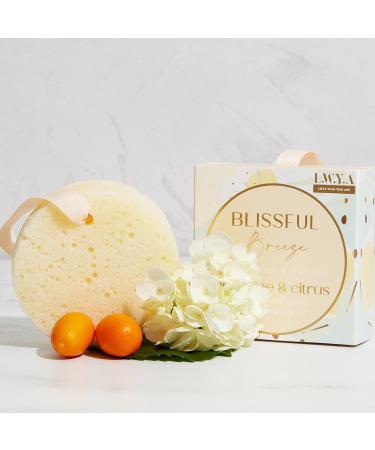 Blissful Breeze Body Wash & Polish - Exfoliating Scrubber with Loofah Sponge for Women | Jasmine & Citrus Scent | 3 oz - International Shipping Available - Buy Online on GoSupps.com