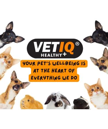 VETIQ Nutri-Vit Plus for Cats (70g) - Essential Cat Supplement for Illness Recovery and Energy Boost - Buy Online on GoSupps.com