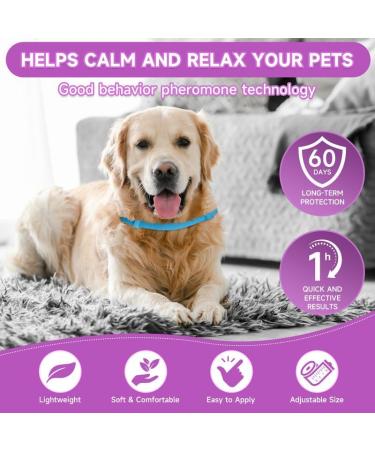 Woyamay Calming Collar for Dogs Adjustable Luminous Safety Glow Calming Dog Collar for Anxiety Relief Natural Calming Pheromone Dog Collar Lasts 60 Days Fits Small Medium Large Dog 2 Pack Blue Blue-2 Pack - Buy Online on GoSupps.com