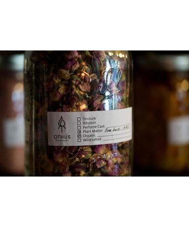 Amber Solid Perfume Bitter Orange Nutmeg Black Spruce Carnation Tonka Bean Labdanum Convenient Twist Tube for Travel Natural Solid Eau de Parfum 0.17 Ounce - Buy Online on GoSupps.com