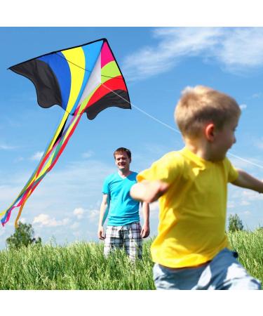 Mint's Colorful Life Delta Kite - Easy-to-Fly Rainbow Design for Kids & Adults - Buy Online on GoSupps.com