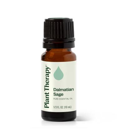 Plant Therapy Dalmatian Sage Essential Oil 10 mL (1/3 oz) 100% Pure Undiluted Therapeutic Grade Sage 0.34 Fl Oz (Pack of 1)
