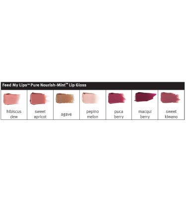 AVEDA Pure Nourish-Mint Lip Gloss Sweet Kiwano (04) - Hydrating Lip Gloss | Sweet Kiwano Flavor - Buy Online on GoSupps.com