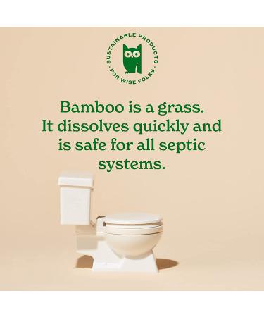 Caboo Bamboo Flushable Wipes 60 Ct Travel Packs (Pack of 3) | Eco-Friendly & Biodegradable | Septic Safe & Certified Flushable | for Adults & Kids - Buy Online on GoSupps.com