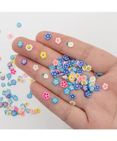 Flower Nail Charms 3D Polymer Slices Mix Shape Sequins - 2 Boxes Nail Accessories for Nail Art Decorations - Soft Clay Flower Charms for Girls, Women, Kids - Buy Online on GoSupps.com