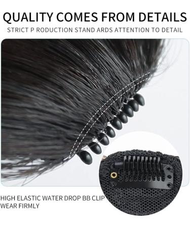 Bangs Hair Clip Clip in Hair Bangs Synthetic Hair Princess Cut Bangs Hair Piece Fringe Bangs Clip-on Quick Cosplay Bangs Hair Extensions Fake Straight Natural Fringe Hair for Women Bangs Clip in Hair Dark brown - Buy Online on GoSupps.com