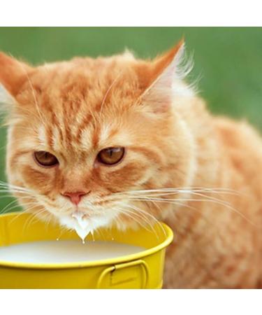 Premium Cat Milk - 200ml x 12 Pieces | Nutritional Treat for Cats | International Shipping Available - Buy Online on GoSupps.com