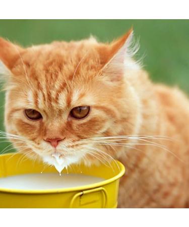 Buy EDEKA Cat Milk 200ml (12 Pack) | Healthy & Nutritious Cat Drink for Happy Pets - International Shipping Available - Buy Online on GoSupps.com