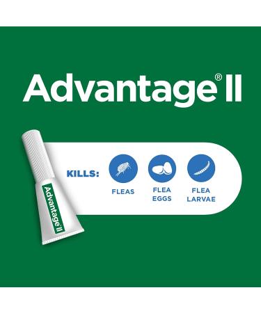 Advantage II Flea Treatment for Kittens - 2 Pack, 0.041 LB - Buy Online on GoSupps.com