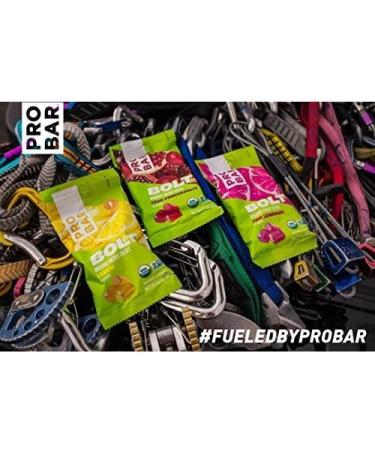 PROBAR Organic Orange Energy Chew Case 2.1 OZ - Buy Online on GoSupps.com