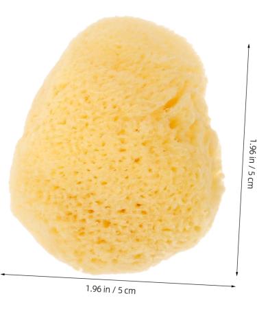 minkissy Natural Sponge Greece Facial Sponges Face Sponges for Cleansing Facial Cleansing Sponge Cleansing Sponges for Face Sponges for Face Cleansing Face Scrubber Washbasin Major - Buy Online on GoSupps.com
