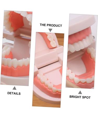 Minkissy 3D Children's Toothbrush Toy | Early Dental Education for Kids | Fun and Reusable Toddler Toys - Buy Online on GoSupps.com