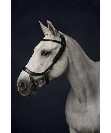 PresTeq FaySport Snaffle Bridle Black Full Size
