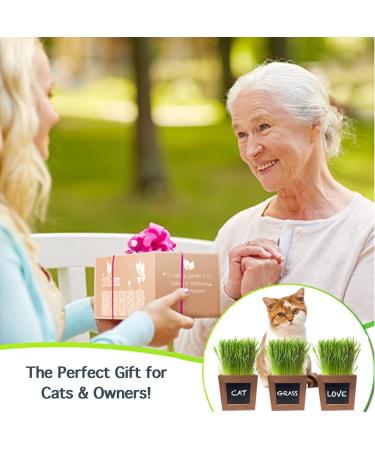 Certified Organic Cat Grass Kit with 3 Wooden Planters - Perfect Gift for Indoor Cats - Buy Online on GoSupps.com