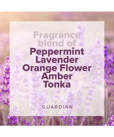 Guardian by Smith England Colour Shield Conditioner 250ml - Superior Hair Care for Vibrant Color | Buy Internationally - Buy Online on GoSupps.com