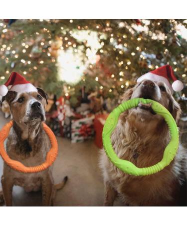 Laroo Dog Frisbee & Fitness Ring - Water Toy for Small Dogs | 18cm Green - Perfect for Summer Training - Buy Online on GoSupps.com