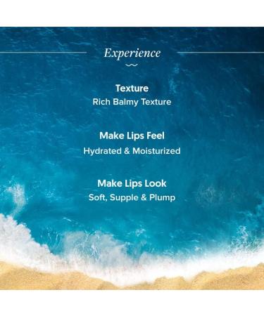 Aqualogic Radiance+ Plump Lip Balm | Watermelon & Shea Butter - Hydrating Lip Mask for Heals & Hyperpigmentation - 15g - Buy Online on GoSupps.com