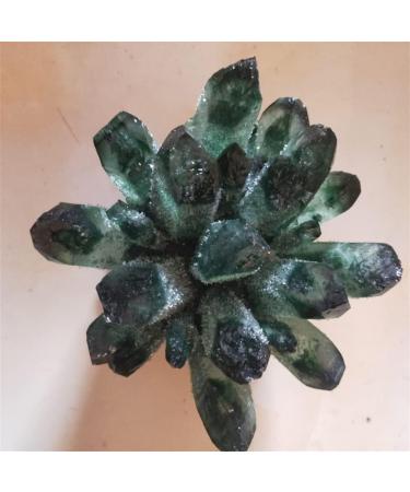 Natural Crystal Rough Natural Quartz Crystal Natural Green Ghost Phantom Quartz Crystal Cluster Rock Stones and Crystals Specimen Home Decor 300-800g Home Office Decor (Size : 500-600g) - Buy Online on GoSupps.com