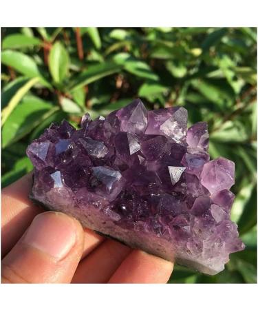 Stone Crafts Natural Dream Amethyst Quartz Crystal Cluster Specimen 50-60g Reiki Crystals - Buy Online on GoSupps.com