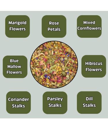 Springtime Forage Infused Baby Hay Bale for Rabbits and Guinea Pigs Fresh Fragrant Green Feeding Timothy Hay Dust Free High Fibre Dried Forage - Buy Online on GoSupps.com