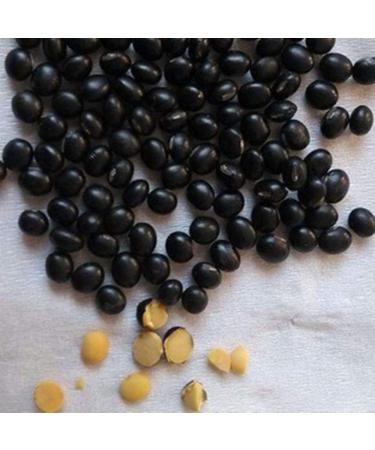 GLORIOUS INHERITING Black Soybean with Yellow Kernel - 500g Retail Bag - Premium Quality for International Shipping - Buy Online on GoSupps.com
