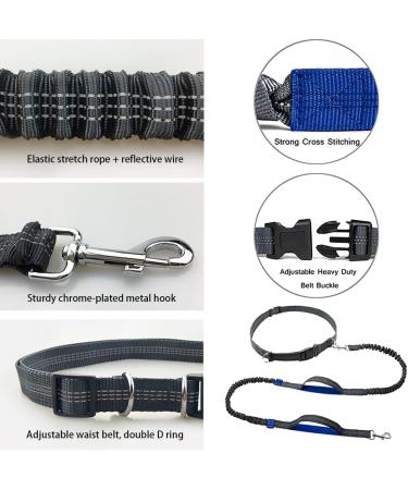 Hands Free Dog Leash Retractable Dog Leash Running with Dual Bungees for Medium and Large Dogs Adjustable Waist Belt Reflective Stitching Leash for Running Walking Hiking Jogging Biking (Blue) - Buy Online on GoSupps.com