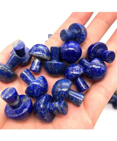Home Decor Natural Crystal Rock Stone Blue Lapis Lazuli Mushroom for Christmas Decoration Gifts Gifts Natural Crystal Draw yuebang Stone Mineral Specimen Approx 2cm 2pcs - Buy Online on GoSupps.com