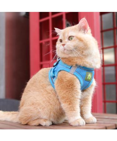 Neuwehe Cat Dishes with Leash - Durable Cat Tableware Set & Adjustable Reflective Harness for Medium Kittens (S Blue) - Buy Online on GoSupps.com