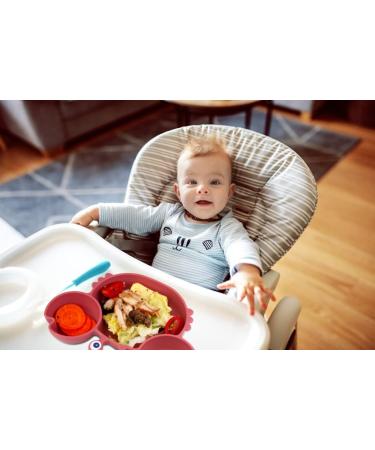 Qshare Toddler Plate BPA-Free Portable Suction Plate for Kids Dishwasher & Microwave Safe Silicone Placemat - 9x6x1.4 inch (Crab-mauve) - Buy Online on GoSupps.com