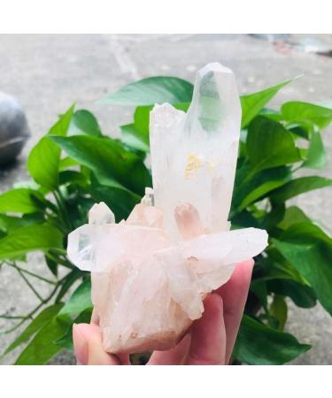 Crystal 200g-2000g Rough Natural Clear Geode Quartz Cluster Crystal Stone 1pc Suitable for Home Office Decoration Full of Texture (Color : 320g-450g 1pc) - Buy Online on GoSupps.com