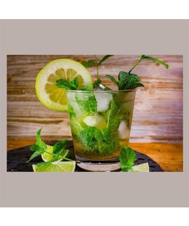 Lt (1300 gr) Sirop au go t de la menthe des Alpes Mixybar FABBRI pour bonbons cr me glac e Granite Yogourt Long Drink Cocktail Caffe Syrup - Buy Online on GoSupps.com