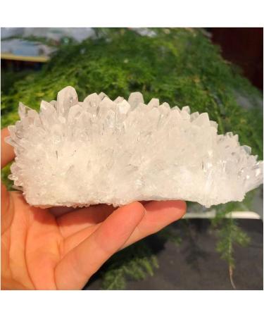 Crystal Cluster Natural White Crystal Clear Cluster Original Stone Quartz Specimen Rock Raw Gemstones Decor Full of Texture (Size : 800-900g) - Buy Online on GoSupps.com
