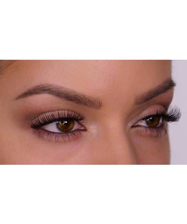 Eldora False Eyelashes H153