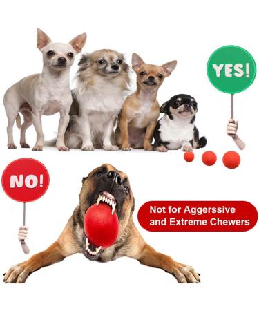 Panlom 3 Pack Dog Balls Indestructible - 100% Natural Rubber Dog Ball Non-Toxic Tough Toy for Small Medium Large Dog Medium 5.5cm/2.2inch - Buy Online on GoSupps.com