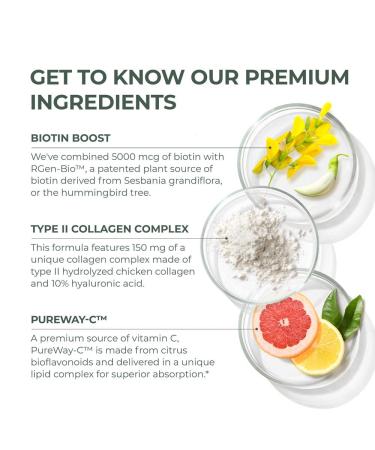 Primal Harvest Hair Growth Vitamins 2 Pack - 120 Natural Pills for Men & Women | Biotin & Zinc Supplement for Hair Regrowth & Thickening - Buy Online on GoSupps.com