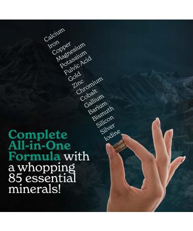 Better Alt Shilajit Sea Moss Capsules Pack of 2 with Ashwagandha & Black Pepper Extract with 85+ Essential Minerals & Antioxidants| Boosts Energy & Metabolism - 120 Servings 240 Capsules Shilajit Seamoss Capsules - Pack of 2 - Buy Online on GoSupps.com