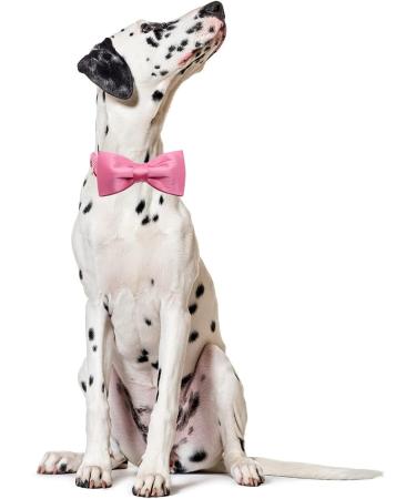 Lionet Paw's XL Dog Collar - Comfortable Silk Pink with Removable Fly for Large Dogs (Neck 40-66cm) - Perfect for Stylish Pets - Buy Online on GoSupps.com