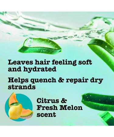 Maui Moisture Heal & Hydrate Shea Butter Shampoo & Conditioner - Vegan, Silicone, Paraben, Sulfate-Free - 13 Fl Oz - Buy Online on GoSupps.com