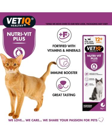 VETIQ Nutri-Vit Plus for Cats (70g) - Essential Cat Supplement for Illness Recovery and Energy Boost - Buy Online on GoSupps.com