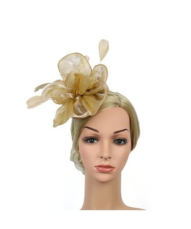 FRCOLOR Fascinator Feather Headband / Clip Party Wedding Royal Ascot Races Hair Accessories Headdress (Golden)