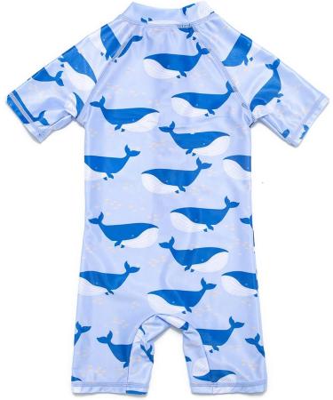 BONVERANO Baby Boys Swimsuit UPF 50+ Sun Protection Blue Whale 18-24 Months - Buy Online on GoSupps.com