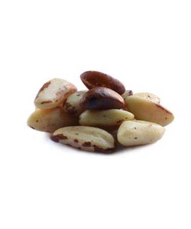 Roasted Brazil Nuts Unsalted in Bulk, 10lb Case  Bulk Roasted Brazil Nuts 10 Pound Case