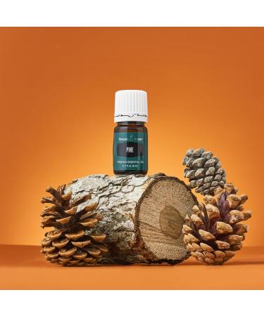 Pine Essential Oil 5ml by Young Living | Uplifting Aroma & Refreshing Breathing | Repels Negative Energy | Ideal for Essential Oil Diffusers - Buy Online on GoSupps.com