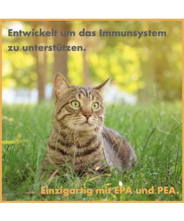 Felimove Immune Booster - Strengthen & Modulate Your Immune System | High Concentration PEA & EPA for Allergies & Immunobalance | 60 ml Liquid - Buy Online on GoSupps.com